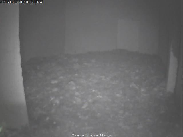 mauvais transfert camera IP